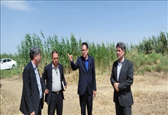 بازدید مسئولین شهرستان پارس‌آباد از زمین‌های پیشنهادی برای ایجاد آرامستان